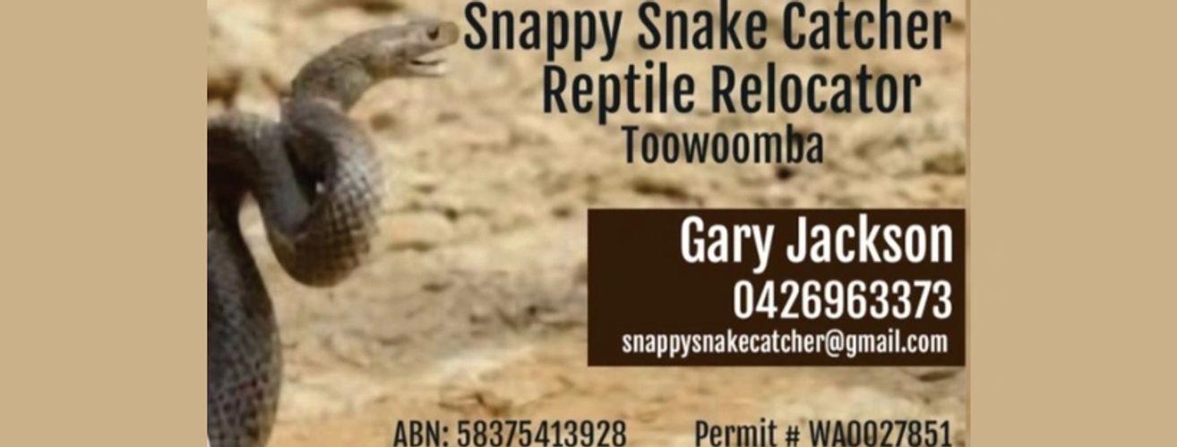 Snake Catcher Toowoomba, Queensland